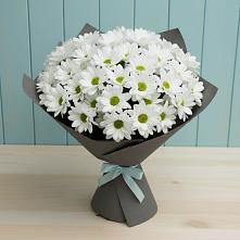 Букет цветов из:  Хризантемы #REPLACE_PRED# Петровской