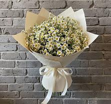 Букет цветов из:  Ромашки в Петровской