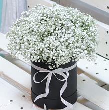 Цветочная композиция из Гипсофила в шляпной коробке #REPLACE_PRED# Петровской
