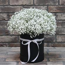 Цветочная композиция из Гипсофила в шляпной коробке в Петровской